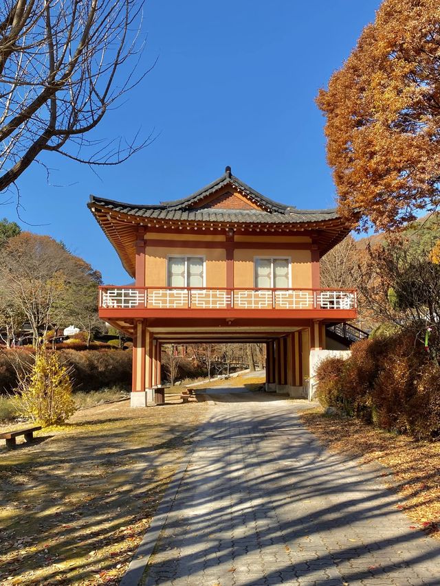 단풍명소 배론성지 🍁