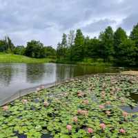 HK Wetland Park!