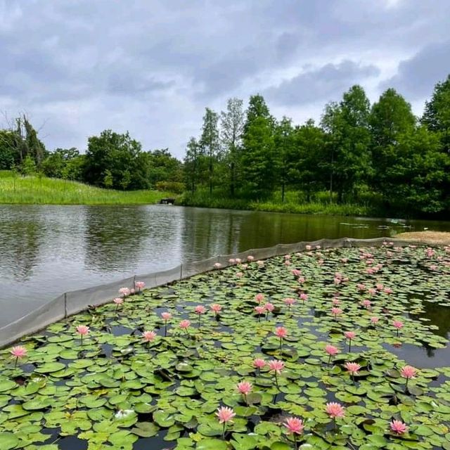 HK Wetland Park!