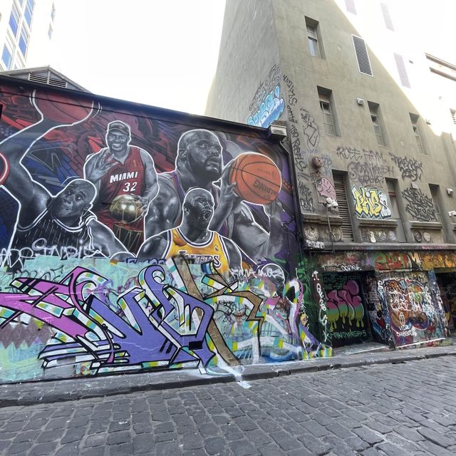 hoiser lane 