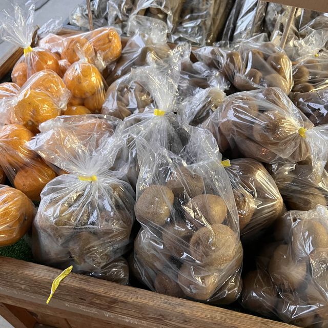 朝市🍎🍏🍄🧅🌽🥬