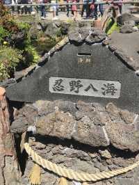 東京攻略 忍野八海
