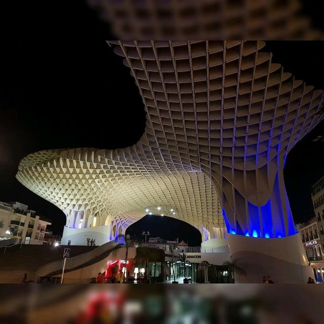 Mushrooms of Seville