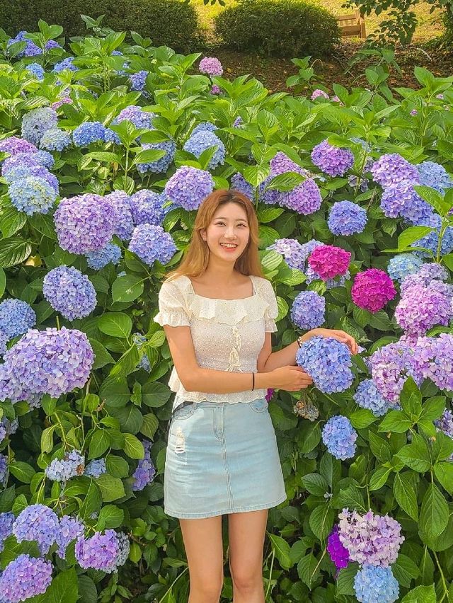 바다가 보이는 수국 가득한 이순신 공