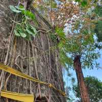 วัด​ Unseen​ เมือง​นคร​ศรี​ธรรมราช​