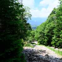 夏の蓼科山