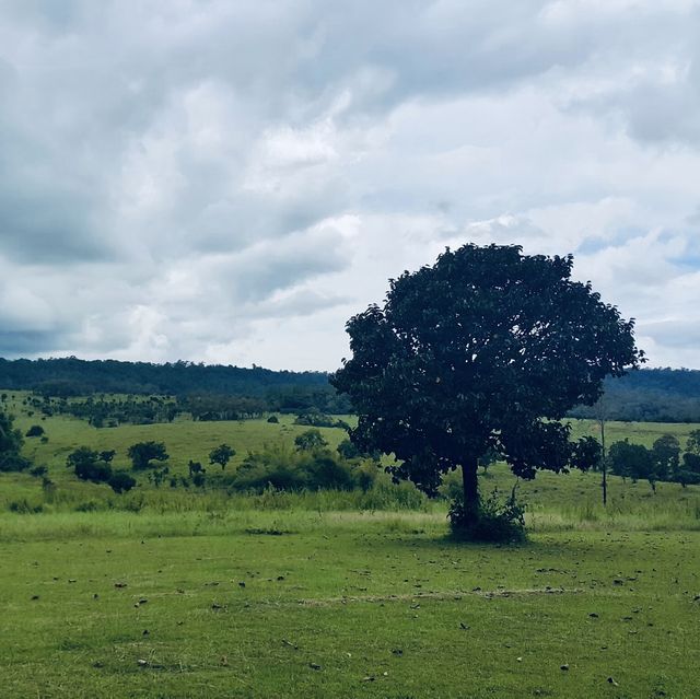 ลานกางเต็นท์หลักสิบ วิวระดับล้าน