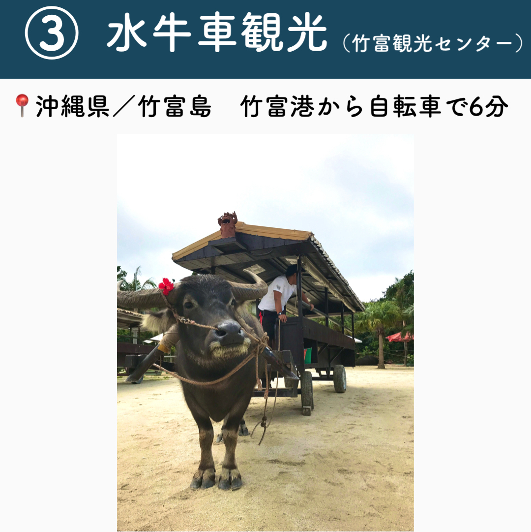 沖縄 行ってよかった竹富島の観光地5選 Trip Com 竹富島の旅のブログ