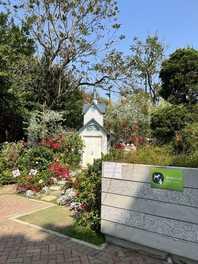 荔枝角隱世愛麗絲花園🏠附前往方法✨