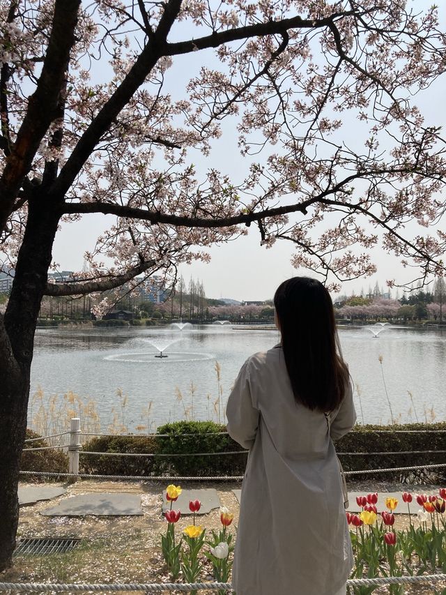 피크닉가기 좋은 김해공원