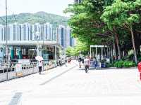 靚海靚景 荃灣海濱長廊