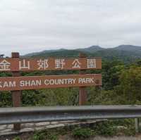 親親大自然