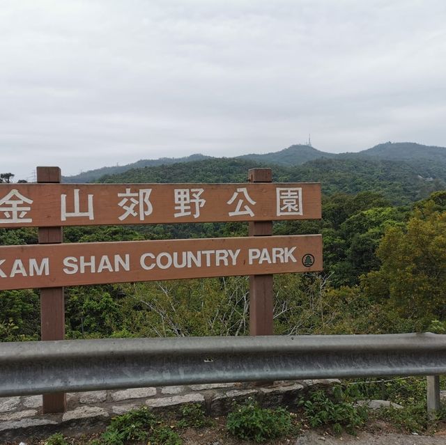 親親大自然