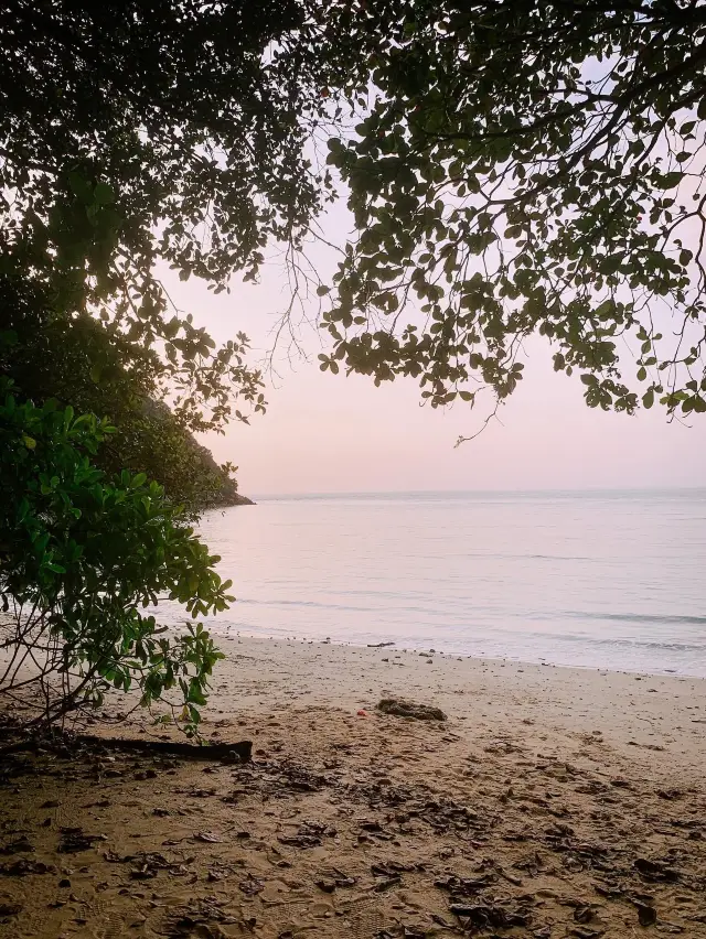 THE HIDDEN GEMS OF TANJUNG TUAN BEACH