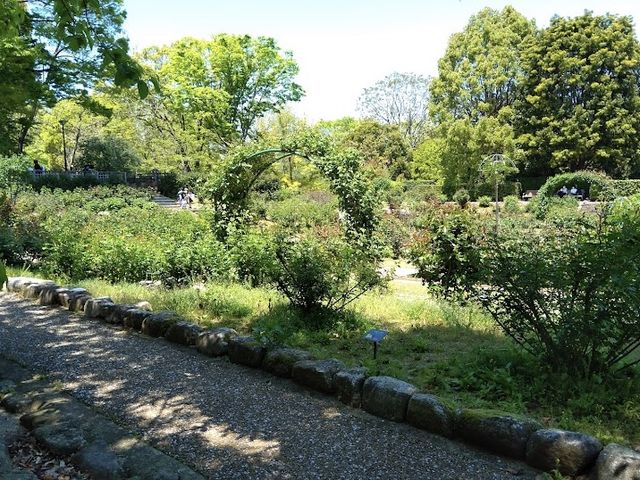 「福岡市動植物園」🦁