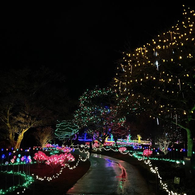 Christmas lights festival at the botanical gardens 