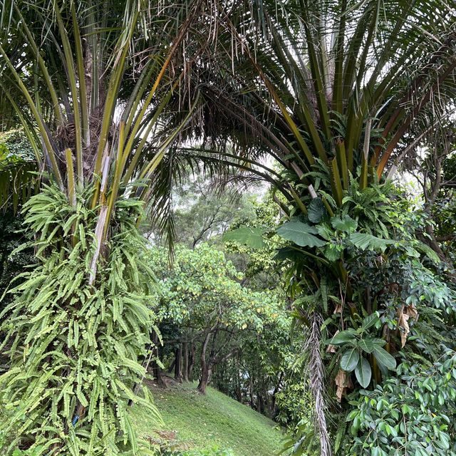 荃灣城門谷公園