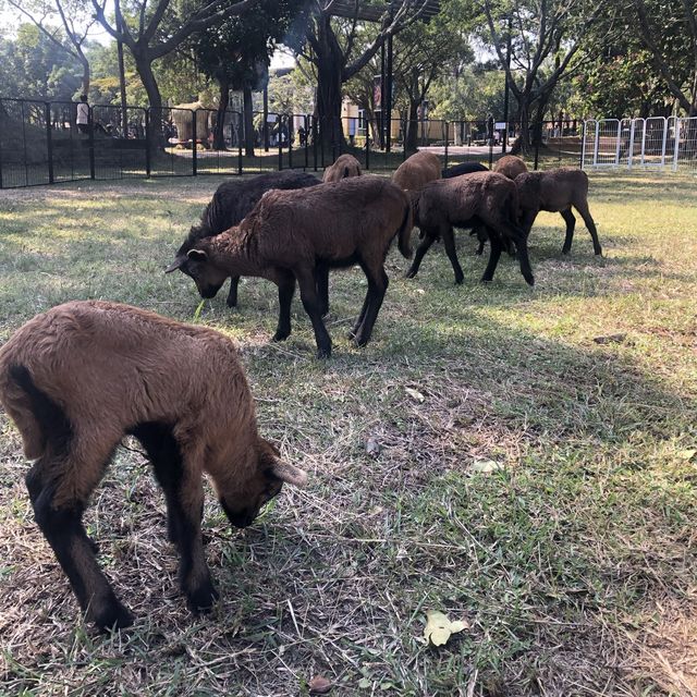 臺南頑皮世界動物園