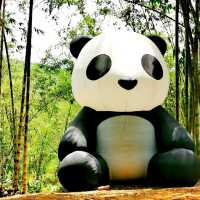 Greenary day out @ Bamboo Garden