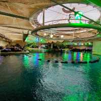 動物たちとふれあい体験もできる水族館！