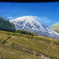 【静岡県】富士山について楽しく学べるミュージアムへ！