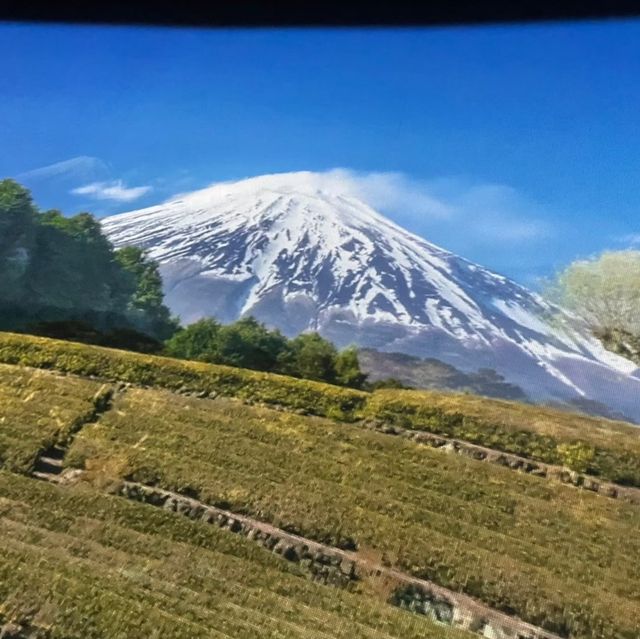 【静岡県】富士山について楽しく学べるミュージアムへ！