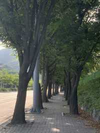 계양산 ⛰️ 수도권 등산하기 좋은 곳