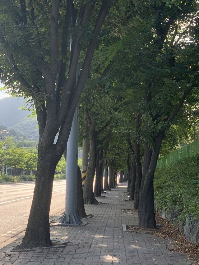 계양산 ⛰️ 수도권 등산하기 좋은 곳