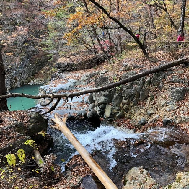 日本🇯🇵大自然之美‼️龍王峽