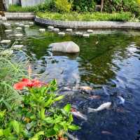 將軍澳坑口文曲里公園