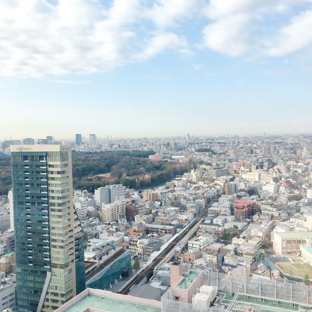 《🇯🇵東京新宿酒店推介🌟Century Southern Tower》
