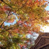 할로윈은 경주월드에서!!🍁🍂🤎