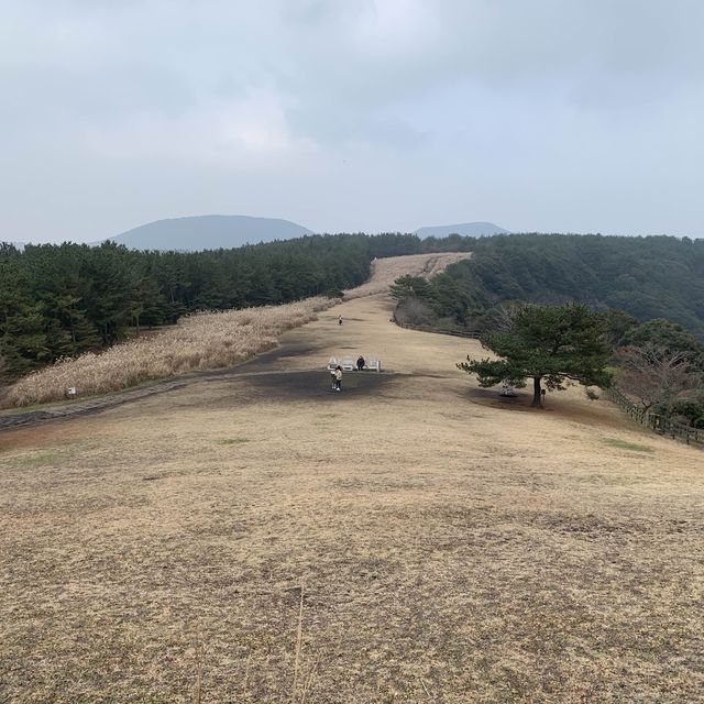 広大な済州島の噴火口！