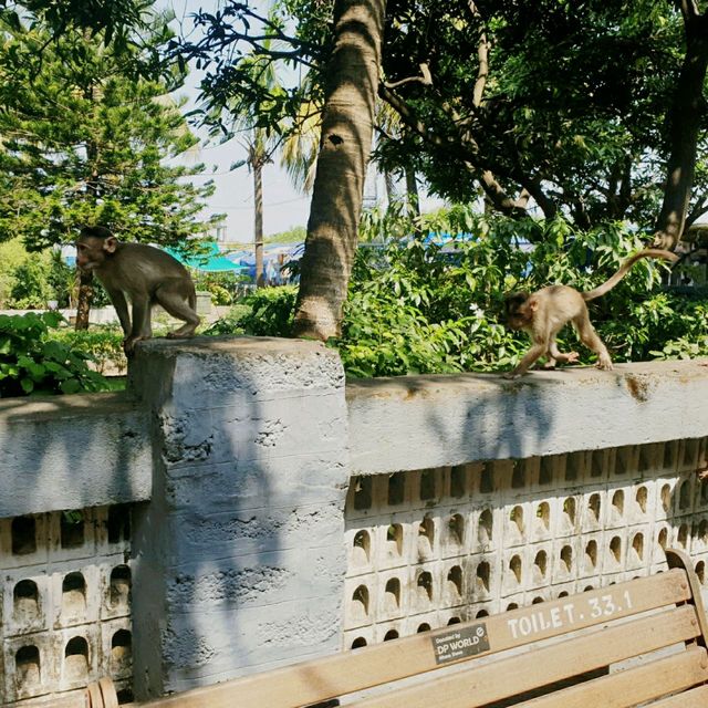 🚣‍♂️ 1시간을 배를 타고 도착한 엘레판타 동굴 🐘