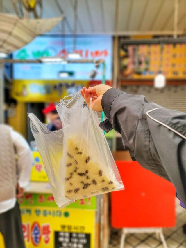 속초갈때마다 들리는 곳, 속초관광수산시장🦀🦑🦐