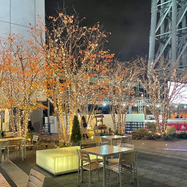 東京のランドマーク！世界一高いタワー！