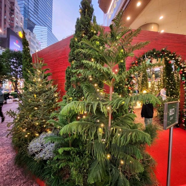北歐森林聖誕夢幻世界🎄 ~ 銅鑼灣時代廣場