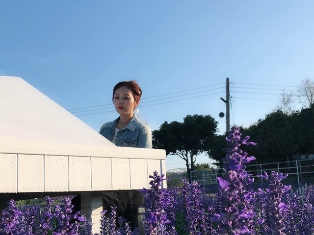 臺中后里 市郊人氣後花園 中社觀光花市花海