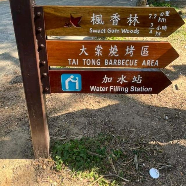 第1站: 大棠楓香林(紅葉篇) 第1站: 大棠楓香林(紅葉篇)