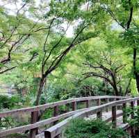 【湯布院】散策が楽しい♪