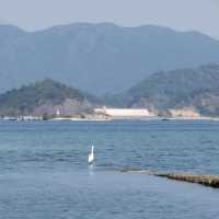 世外桃園西貢泥涌