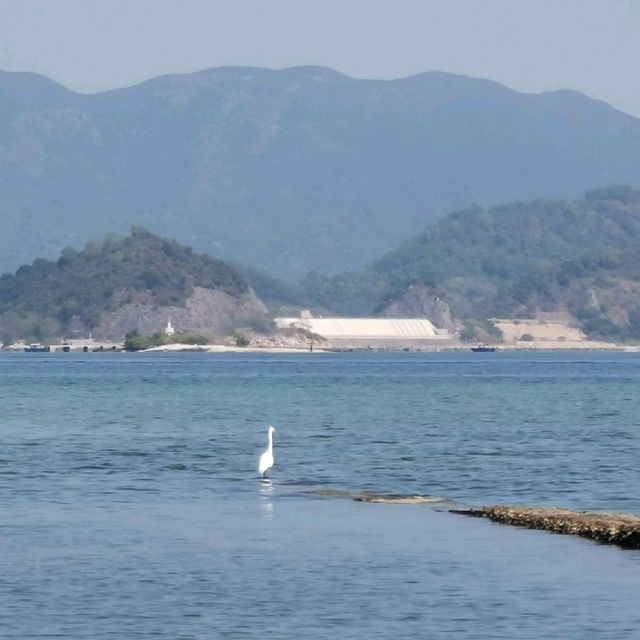 世外桃園西貢泥涌