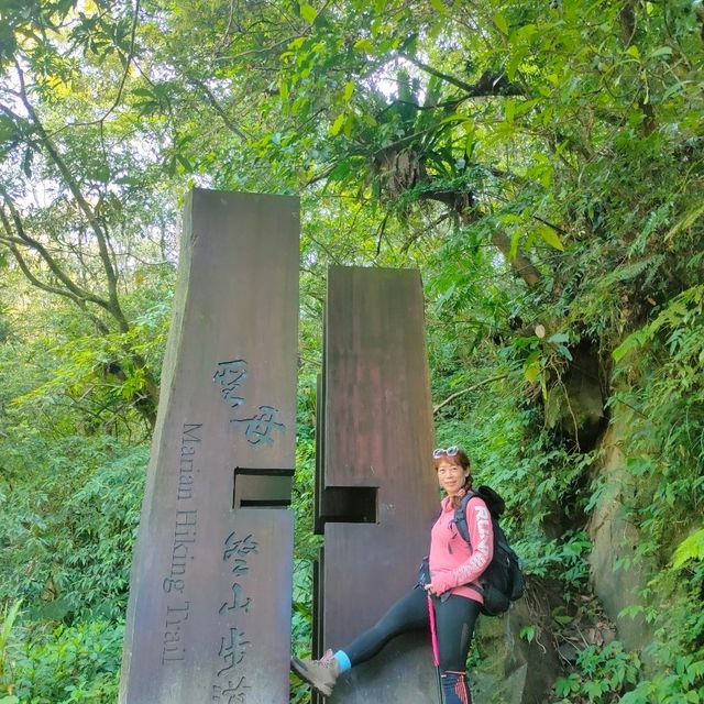 宜蘭抹茶山 ～雲霧草原山岳之美！