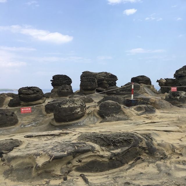 深澳象鼻岩-鎮守北方的海中巨象🐘