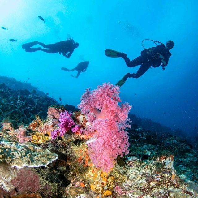 CRYSTAL BAY - NUSA PENIDA