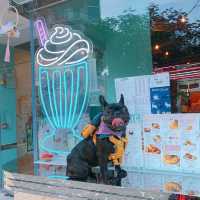 將軍澳超大pet friendly餐廳
