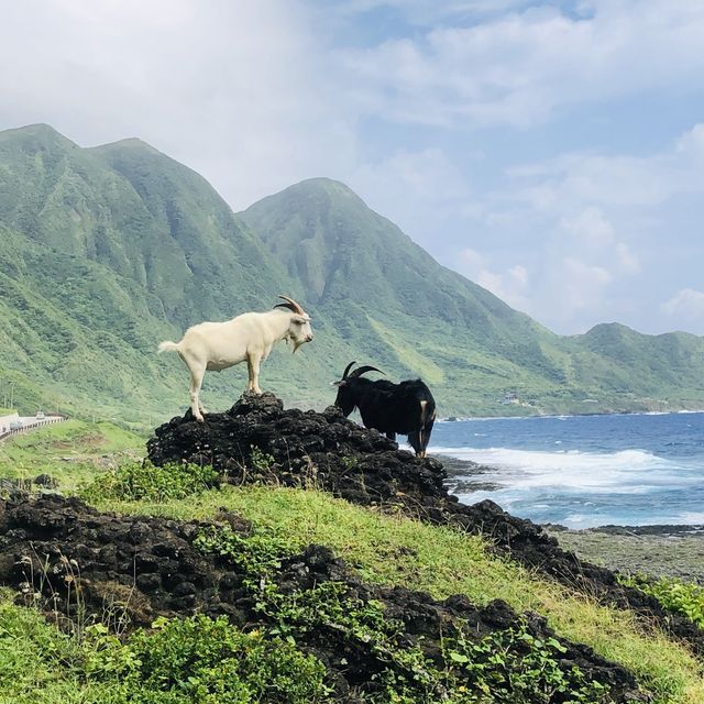 隨便拍隨便走都美麗的蘭嶼島