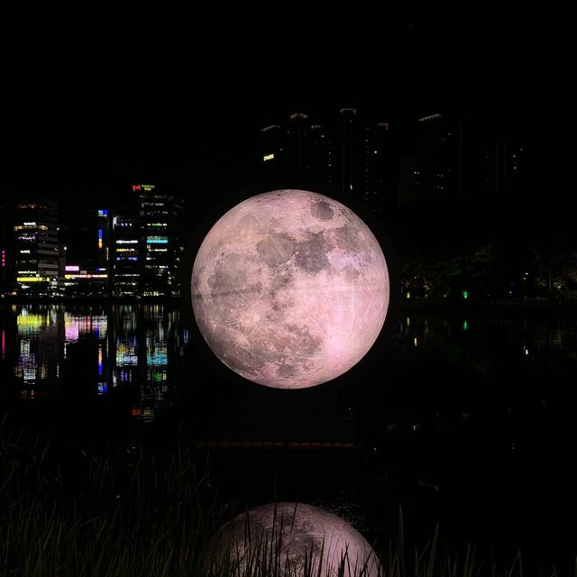 [🇰🇷, 창원] 야경 맛집이자 산책하기 좋은, 창원 용지호수 🌃