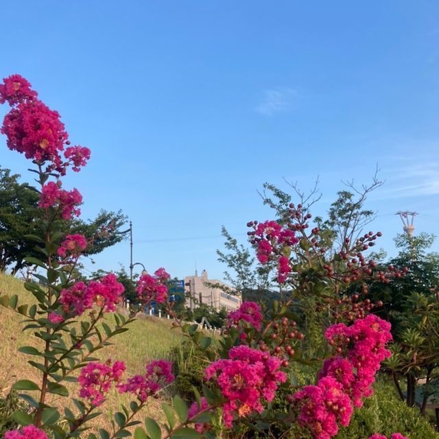 도도솔솔라라솔 촬영지 목포