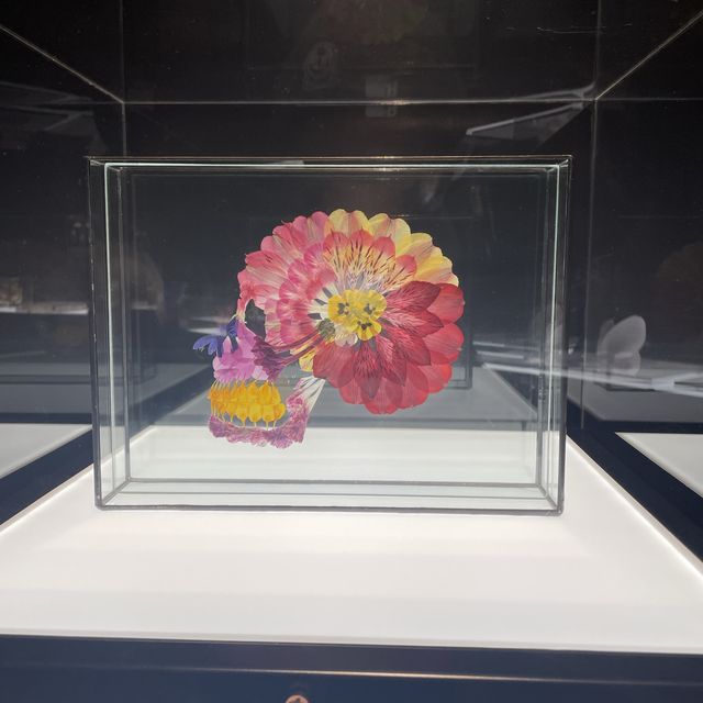 本とアートの世界